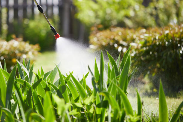 24/7 Emergency Mosquito Control experts in Pioneer Village, KY