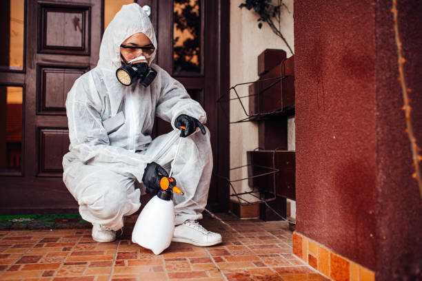 Reliable Mosquito Control contractor in Pioneer Village, KY by Show Me Pest Control
